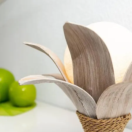 Atrapasuenos House 아파트 코라레호